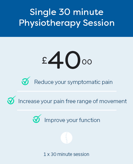 Single 30 minute Physiotherapy Session